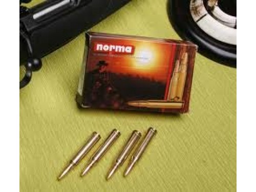 9,3x74R Norma PPDC/285Gr 